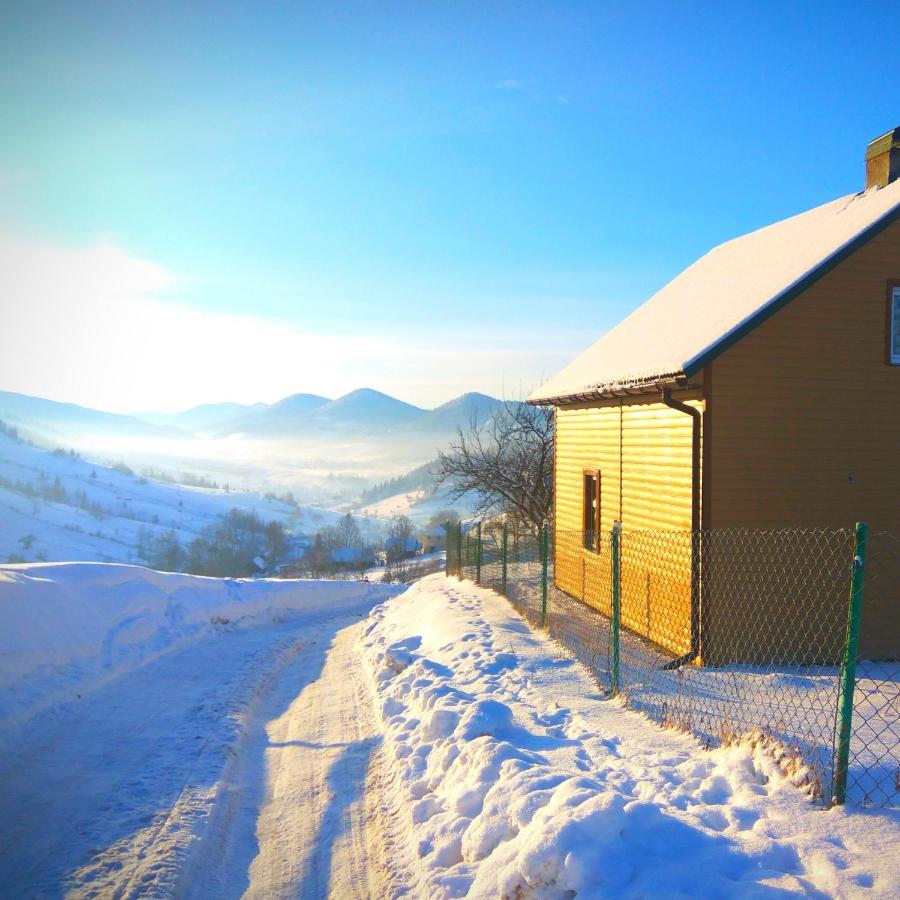 Cottage Panorama Karpat ヴォロサンカ エクステリア 写真