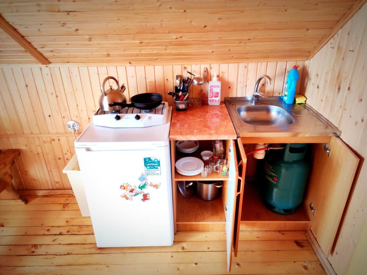 Cottage Panorama Karpat ヴォロサンカ エクステリア 写真